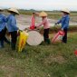 Hội nông dân xã Đông Văn ra quân thu gom vỏ thuốc BVTV, làm sạch đồng ruộng